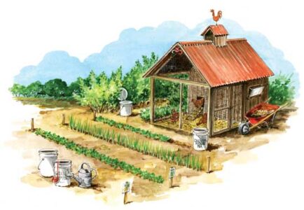 Free, Homemade Liquid Fertilizers Image